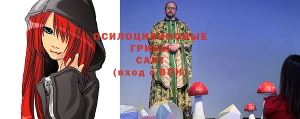 шишки Абинск