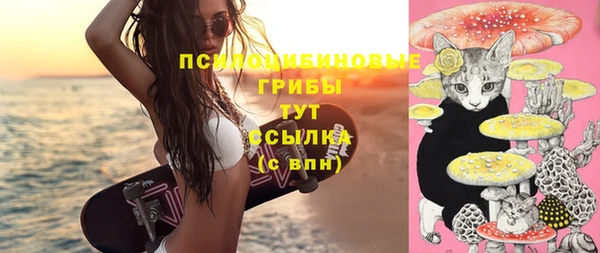 шишки Абинск