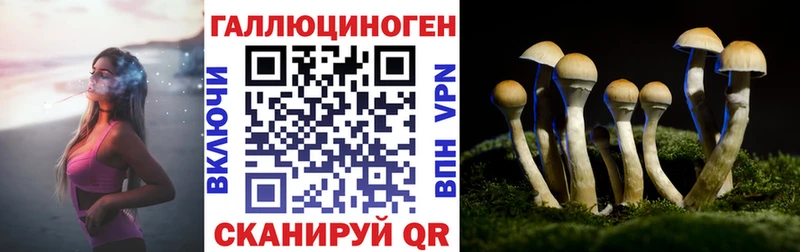 omg ONION  Красноармейск  Псилоцибиновые грибы GOLDEN TEACHER 